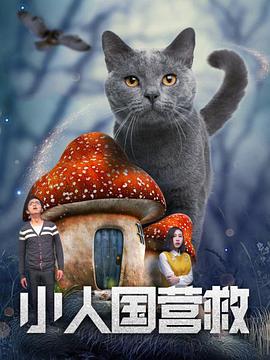 美女高清特黄a大片